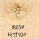 J865 (10)