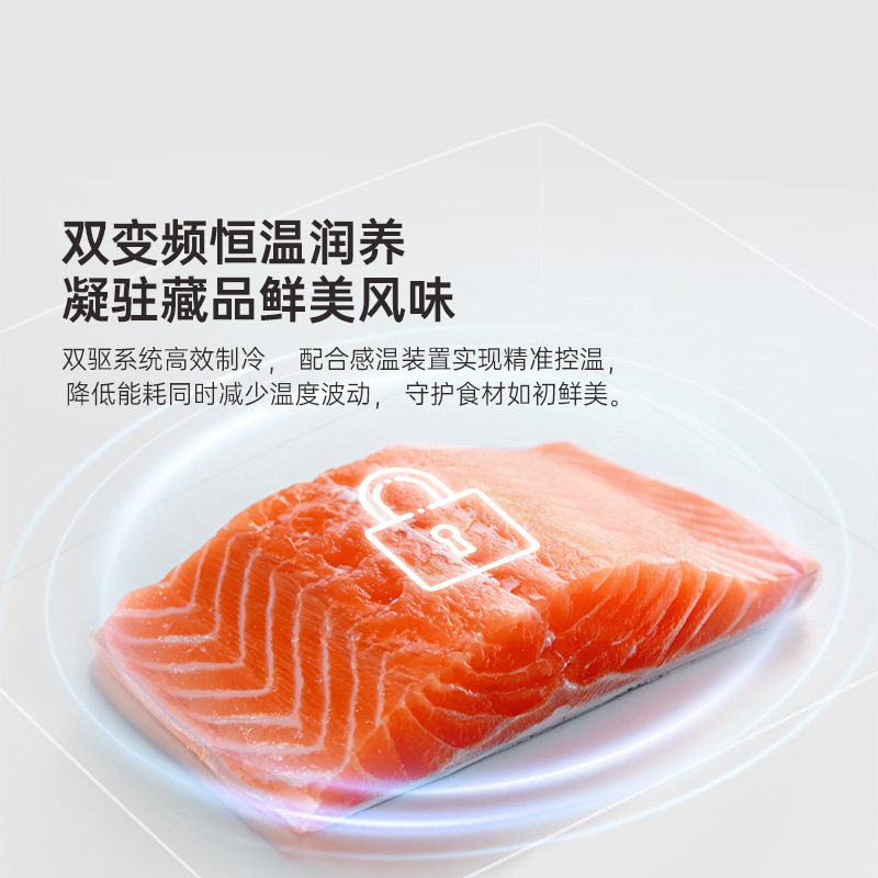 哈士奇BCD-401RBS冰箱图片