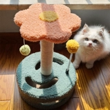 Кошка поднимается на кошачьи гнездо кошка, интегрированное маленькое кошачье на полки котенок котенок котенок меч Синки Столпы кошачьи продукты кошачь