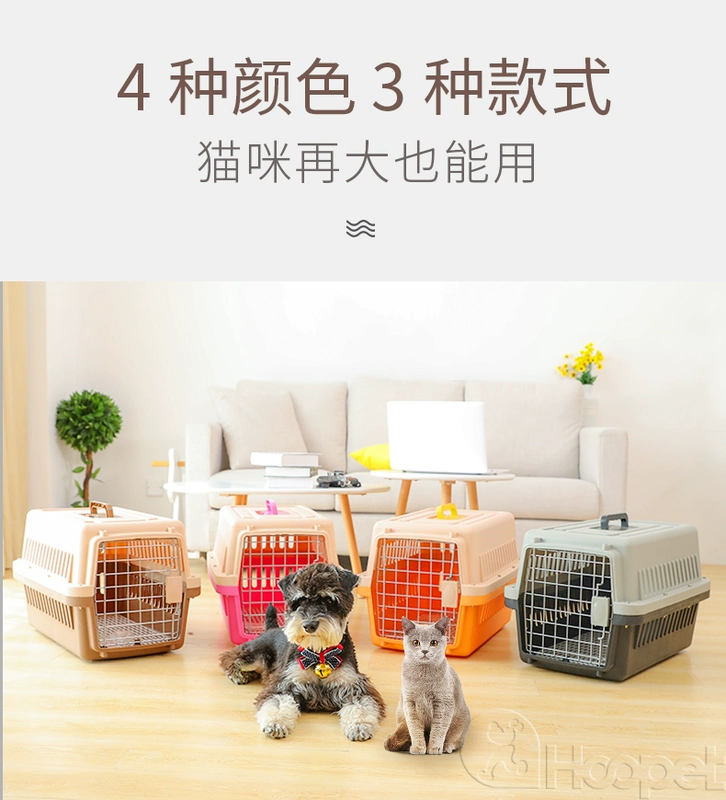 Pet mèo air box chú gấu Teddy chú chó nhỏ chú chó ra khỏi chiếc hộp tiện lợi thành chú mèo con mèo con - Cat / Dog hàng ngày Neccessities