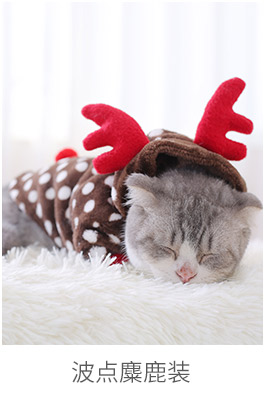 Quần áo Kitty Anh ngắn đẹp vải ngắn thậm chí màu cam mèo mèo cưng mèo ấm bốn chân dễ thương quần áo mùa thu và mùa đông - Quần áo & phụ kiện thú cưng nón cho chó