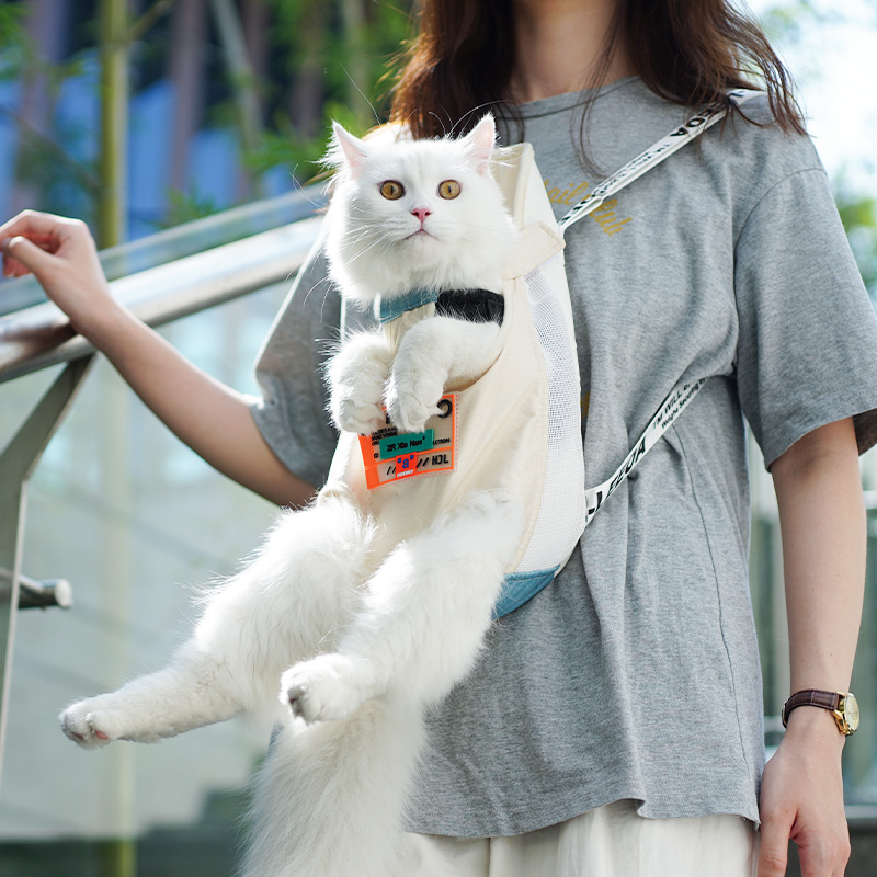 Cat Bag Out of portable pet Pet Scapegoat pooch with chest front carrying bag Bag Cuddling Bag Cute Personality Kitty supplies