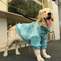 Красочная теплая зима большая собачья куртка зеленый