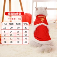 Теплый таяющий кот Тан делает красные