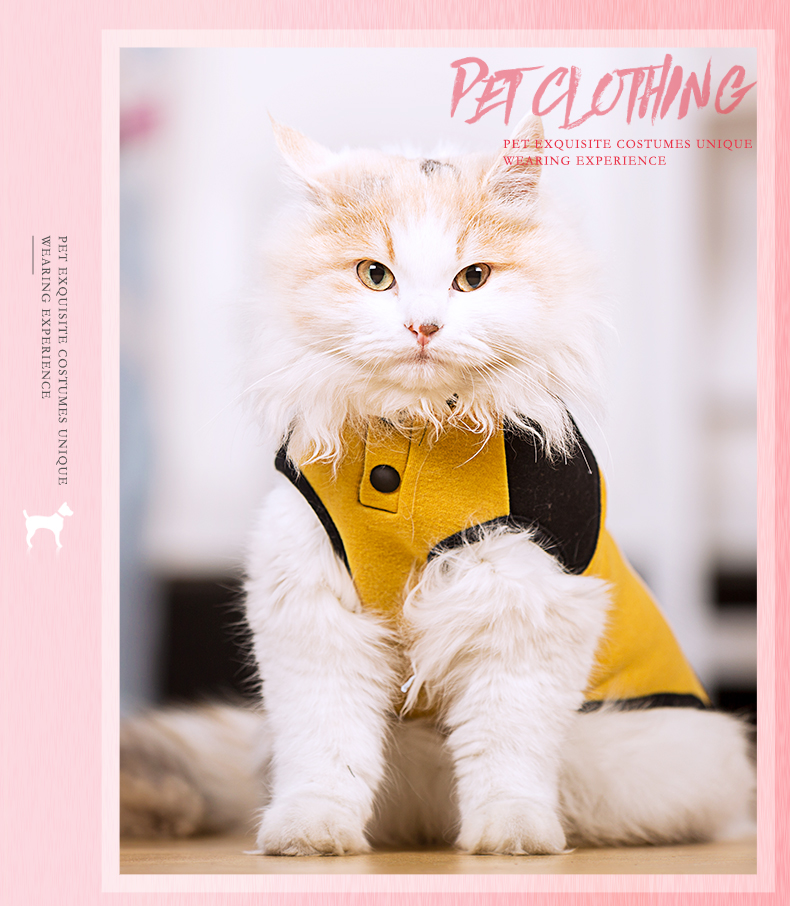 Mèo hoodie đen và vàng Quần áo mèo mùa thu và mùa đông mặc ấm hai chân váy lên mùa xuân và mùa thu quần áo thú cưng - Quần áo & phụ kiện thú cưng quần áo cho mèo con