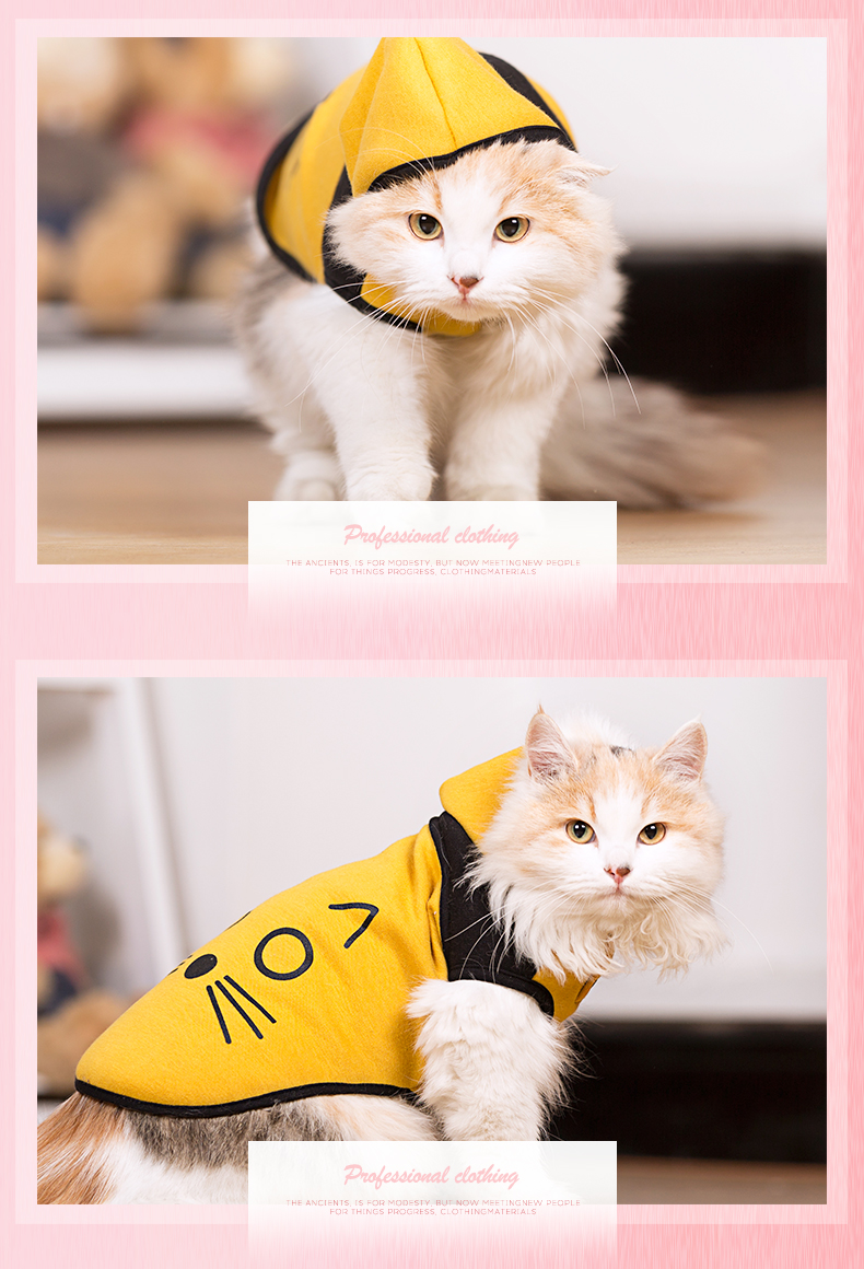 Mèo hoodie đen và vàng Quần áo mèo mùa thu và mùa đông mặc ấm hai chân váy lên mùa xuân và mùa thu quần áo thú cưng - Quần áo & phụ kiện thú cưng quần áo cho mèo con