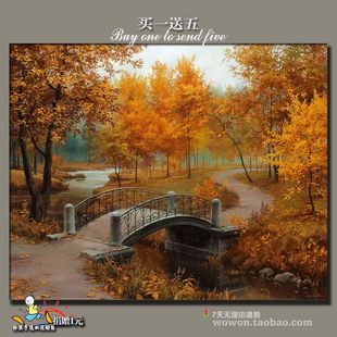 DIY Digital Oil Painting with Frax Club Flower Landscape Person Living Room bedroom couple decorative painting 40*50