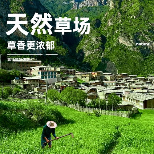 Тимоти травяная сушена