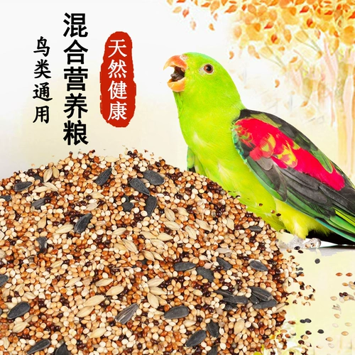 Попугайная кормление тигра -кожа попугайная пища для птиц корм