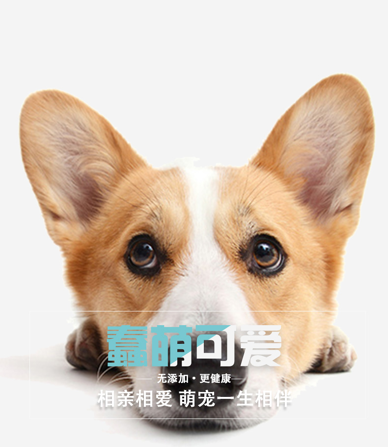 Thức ăn cho chó mục đích chung con chó nhỏ con chó trưởng thành thức ăn chính Teddy hơn gấu VIP vẻ đẹp tóc thấp muối dinh dưỡng công thức cám cho chó con