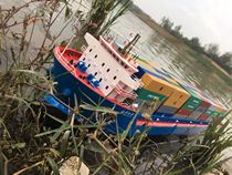 Tiger model finished ship OEM ship OEM