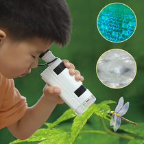 Microscopy Darwin Childrens Science Experimental Equipment Biportable Primary School Childrens Children Toys Toys Puzzle