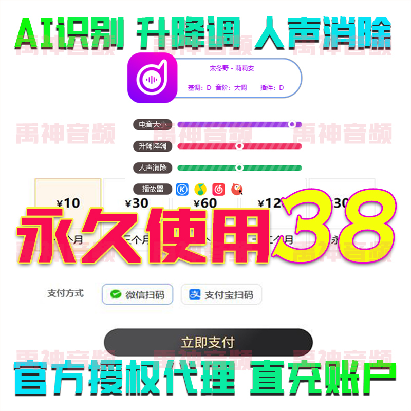Electronic Music Assistant Member Automatic Electronic Music Key Query Software for Kugou, Netease, and Other Platforms to Check and Change Song Key