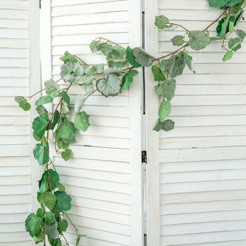 Моделирование зеленых листьев виноградных виноградных виноградных виноград