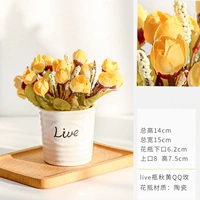 Живая бутылка+осень желтая QQ роза