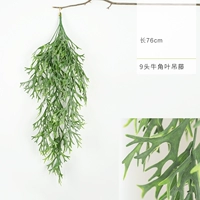 9 коровьего рога висящая лоза