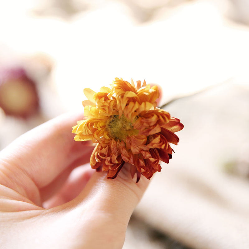 ��ױ��԰�Ҿ�װ��Ʒ�߲�С�ջ�