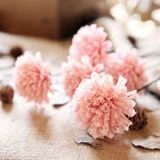 Qingcang Литература и искусство маленькая свежая кунжут