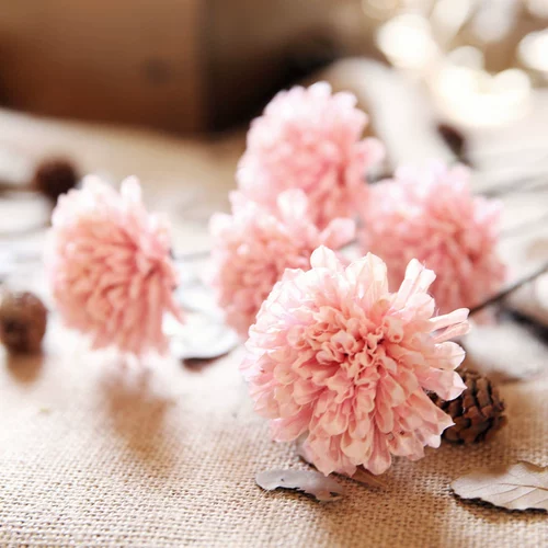 Qingcang Литература и искусство маленькая свежая кунжут