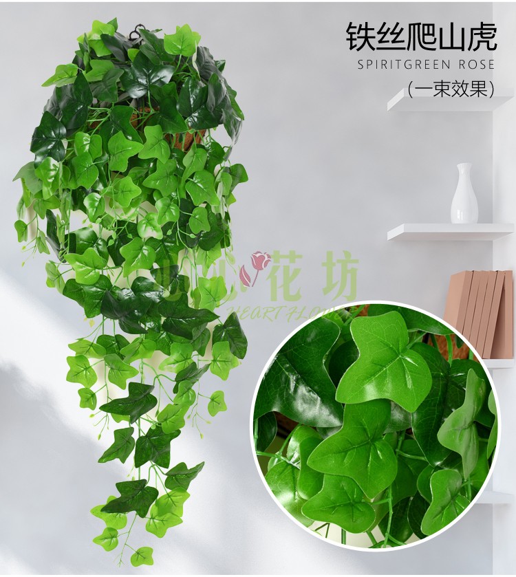 Mô phỏng lá xanh treo hoa giả cây tiền lá treo giỏ trong nhà nhựa trang trí treo mây hoa - Hoa nhân tạo / Cây / Trái cây cây đào giả