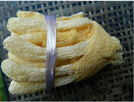 2022 new goods Gutian fresh non-smoked sulfur bamboo fungus Fujian native specialty running volume 75g 2 servings