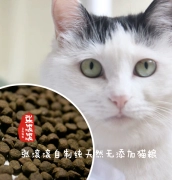 Cán tự chế 0 thêm thức ăn cho mèo tự nhiên nguyên chất 1 kg thử ăn. 5 kg - Gói Singular
