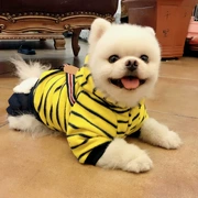 Dog Bib Pills Teddy Bear Bear Dog Fall / Winter Bomei Dog nhỏ Pet Stripe Four feet Quần áo - Quần áo & phụ kiện thú cưng