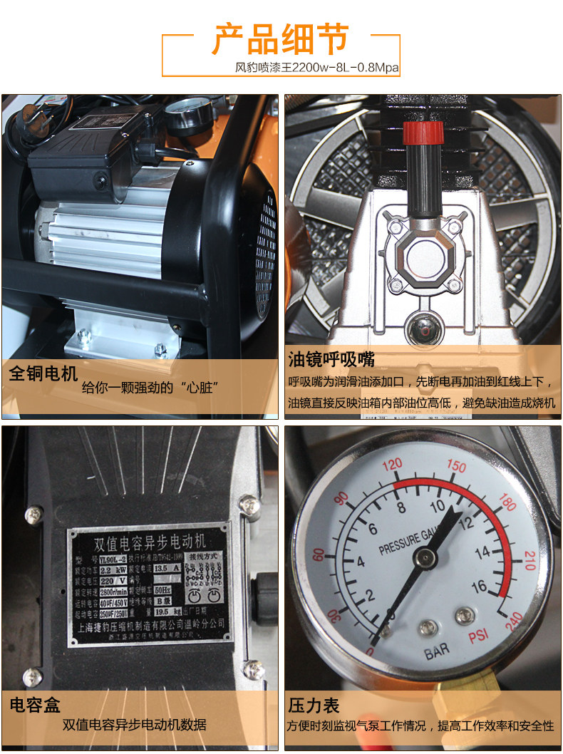 Ветровой леопардовый распыление короля детали 02_10.jpg