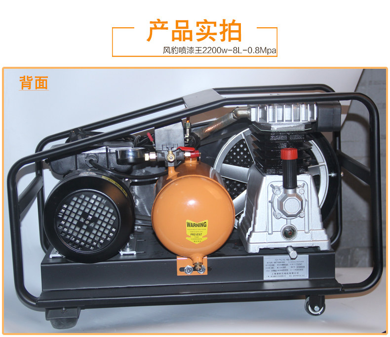 Ветровой леопардовый распыление с подробностями 02_12.jpg