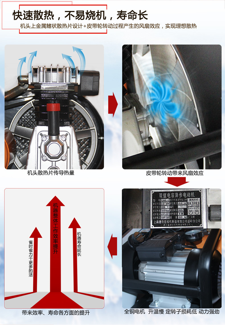 Ветрный леопардовый распыление короля 02_06.jpg
