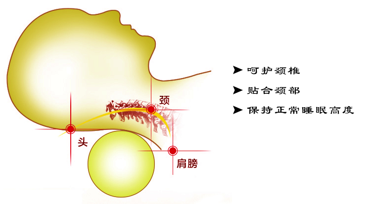 [Hàng ngày Khuyến Mãi] Cổ Tử Cung Gối Cổ Gối Sức Khỏe Gối Dành Cho Người Lớn Vật Lý Trị Liệu Gối Vòng Con Kiều Mạch Gối