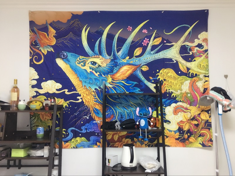 Tranh ukiyoe Nhật Bản in Bắc Âu thảm vải decor