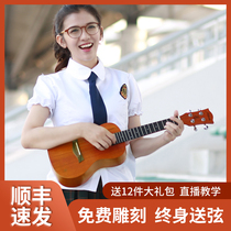 AJIMA Addison Addison Ukulele Small Guitar Beginner Male Child Student 23 26 inch Adult Female