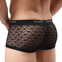 Dumi International Mens Full Transparent Lace Panties Ultra Thin Ice Silk Sexy Sheer Low-Rise Boxer Briefs Personality