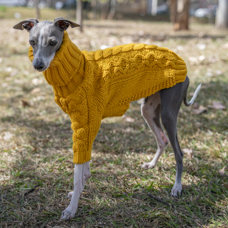 Italian Greyhound Whippet Beagles Greyhound Winter Turtleneck Warm Sweater Small Dog Doberman Clothes