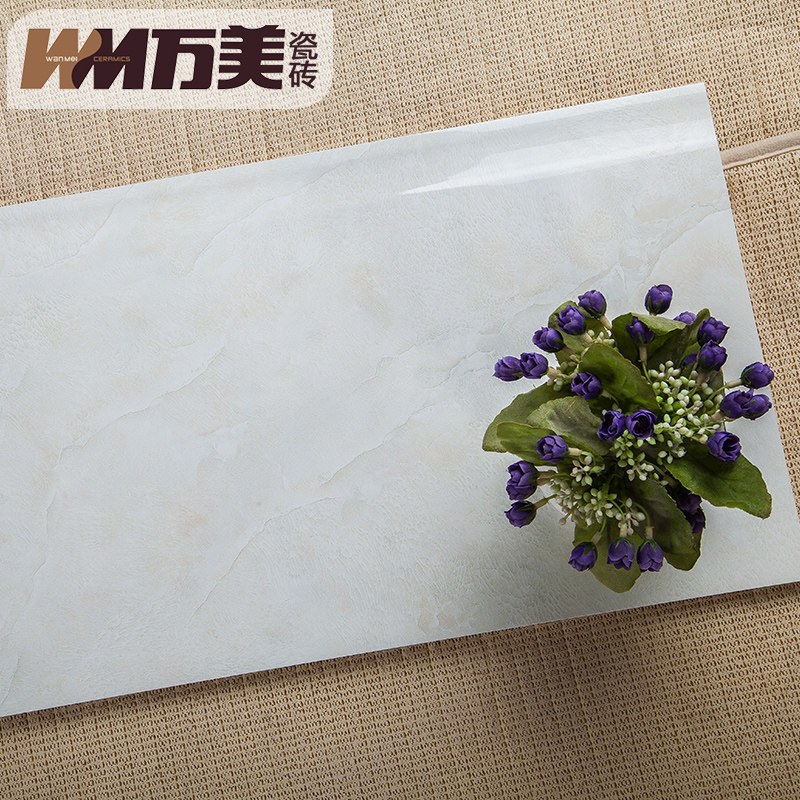 ������Լ��שWP7006��