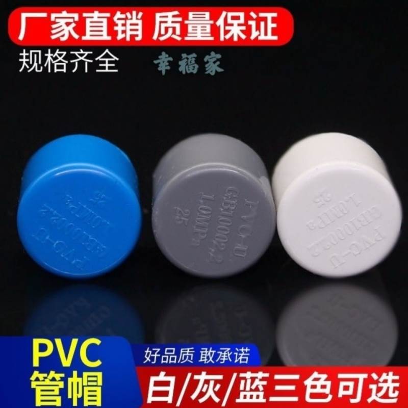 PVC pipe cap jam plugged head plugged head plugged into the water pipe block 125160200 white blue and blue gray