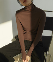 Ayuan custom bottoming king pile collar bottoming shirt womens gray black coffee apricot white autumn and winter with high collar and long sleeves