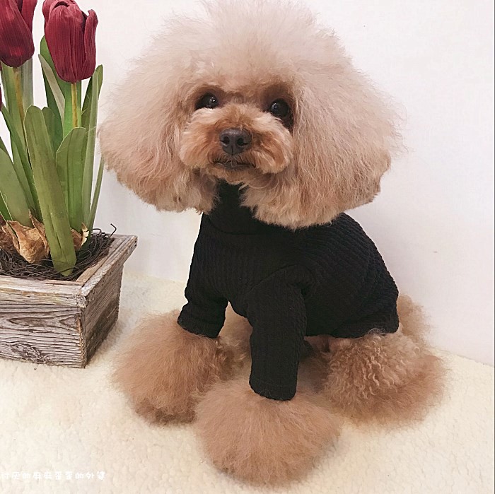 Dog turtleneck bottoming shirt pet clothes spring and autumn bottoming T-shirt cute dog clothes teddy dog ​​clothing