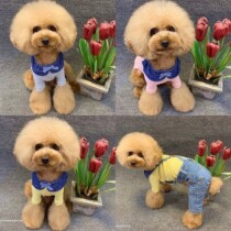 Dog clothes autumn denim petals base shirt cotton Teddy VIP than bear fighting clothes cat clothes pet