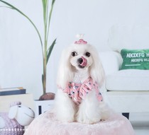 Dog floral dress Teddy dress Spring and summer Bixiong Bomei Cat pet dress Summer princess dress Puppy skirt