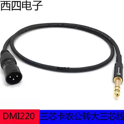 Datong 128 net soft microphone line two-channel 6 5 large three-core to Kanon male head 6 35 turn Canon balance line