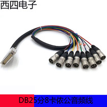Riseng 8-way multi-channel rainbow cable DB25 to 8-way male microphone mixer audio braid signal line