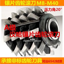 Insert-piece gear hob hob rolling tooth knife M8M9M10M11M12M13M14M15M16M18M20-M40 direct