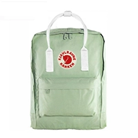 Мятный зеленый лейкорея средний номер