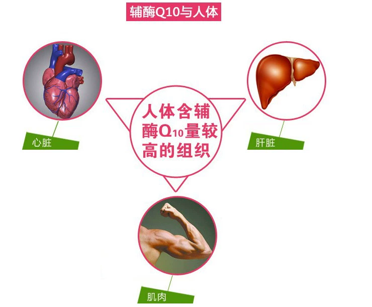 Weihai tím nhẹ coenzyme Q10 viên nang mềm 120 viên để bảo vệ các sản phẩm chăm sóc sức khỏe cho người trung niên trưởng thành có thể được trang bị thuốc giảm đau ngực - Thực phẩm dinh dưỡng trong nước c sủi