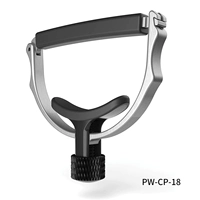 PW-CP-18