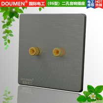 International electrician silver gray wire drawing switch socket panel Type 86 concealed household two-hole audio socket