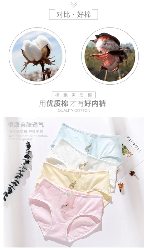 Quần lót cotton Nam Cực cotton thấp eo 100% cotton 裆 Quần lót tam giác nữ mùa hè vải cotton mỏng quần lót cạp cao