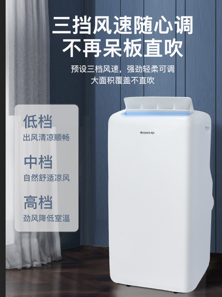 Gree 2P Portable Air Conditioner, Dual-Use for Cooling and Heating, All-In-One Machine for Home, Kitchen, Store, Vertical Type, No External Unit, No Installation Required